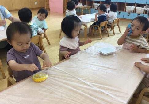 １歳児「氷遊びをしたよ♪」