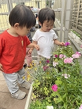 子どもたちの様子～1歳児クラス～