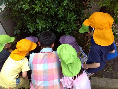 日々の様子をお見せします♪（異年齢グループ3.4.5歳児）