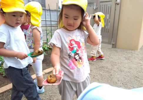 3，4，5歳児　じゃがいも掘りをしました！
