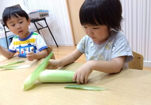幼児　とうもろこし(食育)