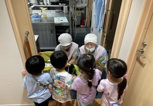 ４歳児･５歳児　とうもろこしの収穫