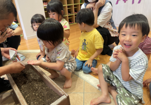 ３歳児　小松菜の種まき