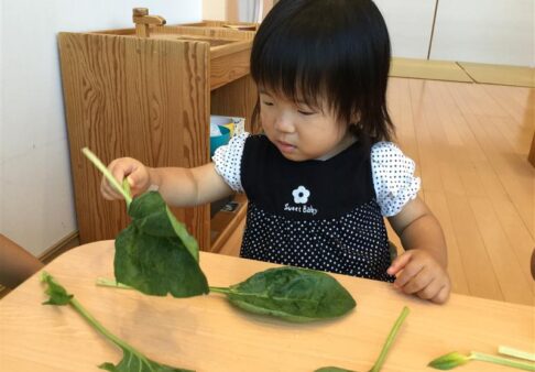７月食育