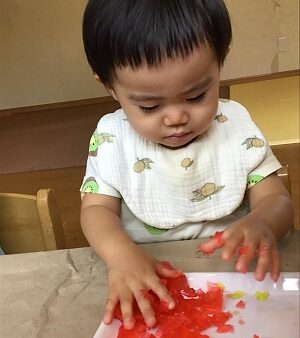 【１歳児】寒天、さわったよ