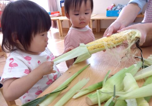 １歳児　トウモロコシの皮むきをしました！