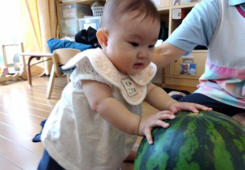 すいか割りをしました！～０歳クラス～