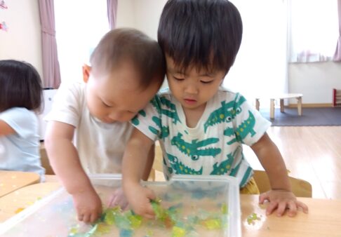 １歳児　寒天の感触遊びをしました🌟