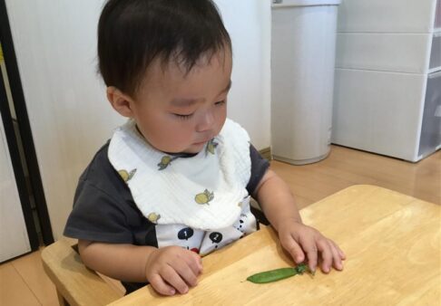 10月の食育　～0.1歳児～