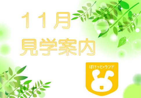 ２０２４年度の園見学について