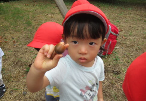 1歳児「小さな秋、みぃつけた👀🍂」