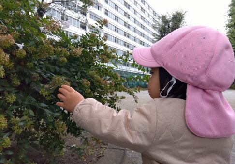 初めての公園行きました！～０歳児クラス～
