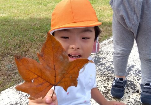 幼児クラス　　秋の自然をみつけたよ！