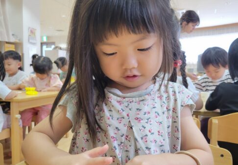 3歳児　うさぎ組「はさみをつかいました！」