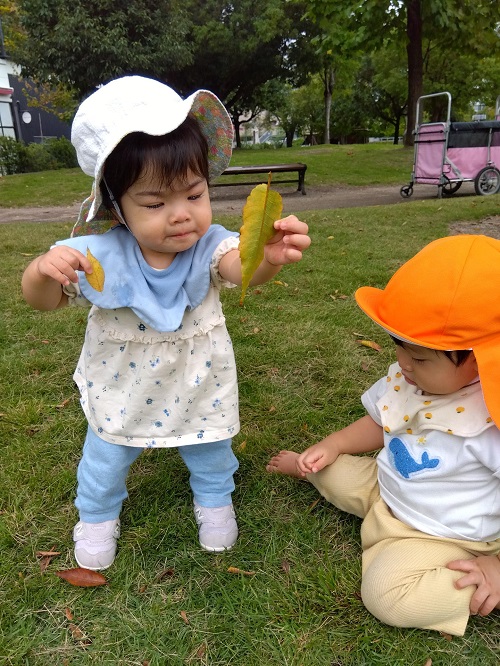 葉っぱをひろって、高いところからヒラヒラヒラ~
落ちていく様子を楽しんでいます✨
葉っぱが色づいてきて、自然にふれる体験をしていきます🍁