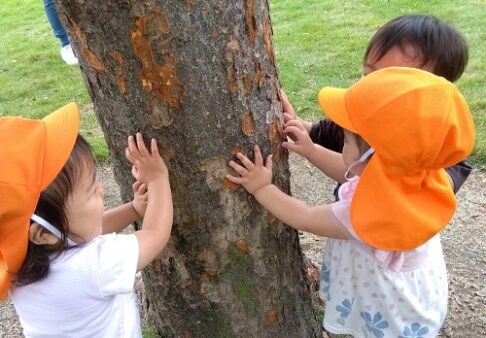 ０歳児　戸外遊び