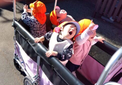 0歳児〜お散歩〜
