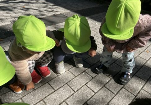 １歳児　りす組　秋を感じたよ🍁