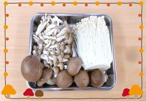 ♪２歳児　こぐま組　11月　食育♪