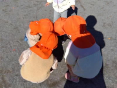 ２歳児　秋でも虫探しときりん組への手紙