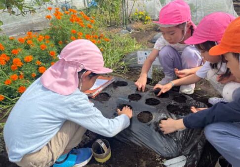 【遊び】ぽけっとファーム　～幼児クラス