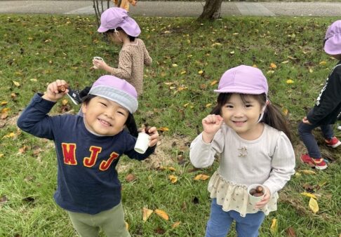 ３歳児　うさぎ組　「まんまるどんぐりみーつけた！」