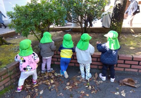 りす組（1歳児クラス）☆11月の様子