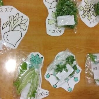 2歳児(うさぎ組)☆食育活動　七草