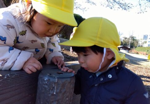 １月の園の様子