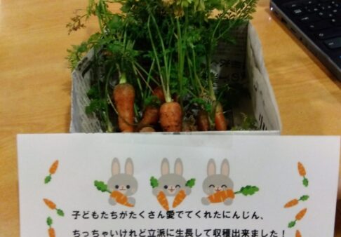 うさぎ組(2歳児)☆人参の収穫