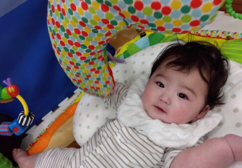【０歳児】ひよこ組　４月の様子