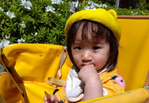 ０歳児「戸外活動🌷」