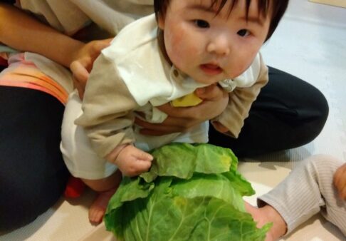 ひよこ組（０歳児クラス）☆４月の食育