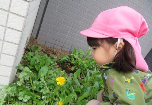 春の自然に触れて🌷
