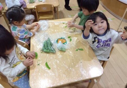 2歳児　ぱんだ組　「初めての皮むきに挑戦 ！」