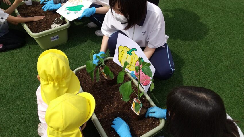 子どもたちが目で見て分かりやすく理解できるように、事前に学生さんが一つひとつの野菜のイラストを描いてきてくれました😊
土の感触に触れて、においを嗅いで、身近で自然にふれる体験をしました✋