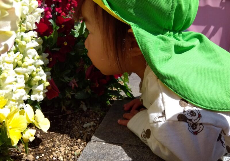 お花きれいだなー♡