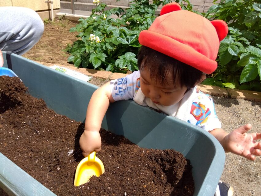 お手本を見せるとシャベルを持ち、真似して土を掘ってくれています😊