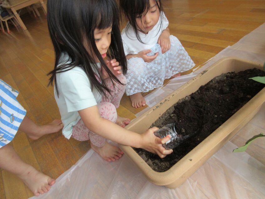 苗を植える穴を掘っています！