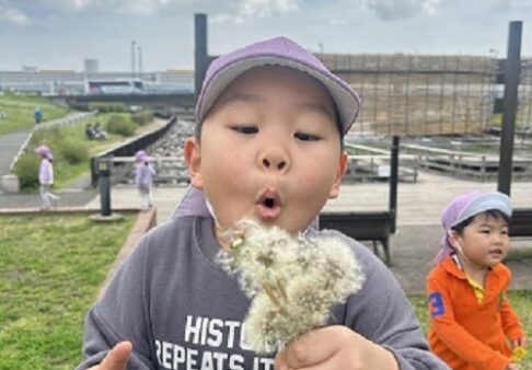 ４歳児　きりん組　「春をたくさん見つけたよ🌸」