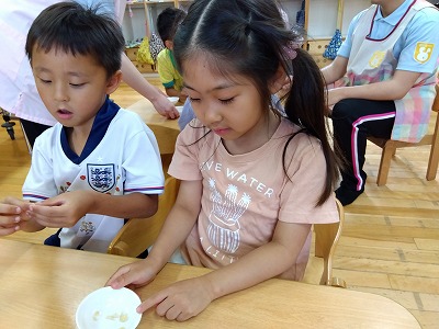 毎年5歳児さんが味噌を作る事が恒例になっています。
味噌は大豆から出来ていて、大豆は枝豆から出来ている事を知ると驚いていました。
小さな豆が集まって味噌が出来るんだね。と一粒一粒をよく見ていました。