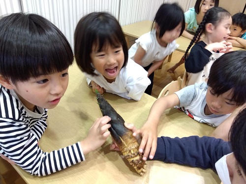 家や給食で食べたことがある「たけのこ」ですが、実際に皮のついたたけのこは普段あまり見たことがないため、珍しそうにして触ったり、観察したりしていました🔍
「きょうのおきゅうしょくにでる～？」子どもたちらしい発言が沢山聞かれました🌞