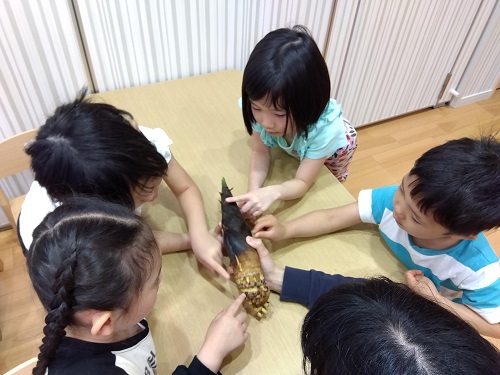 たけのこを観察しました🌲
ざらざら、ふわふわ、ぼこぼこ…箇所によって様々な感触を楽しみました😄