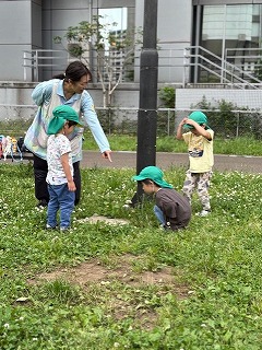 ここに綿毛あるよ！