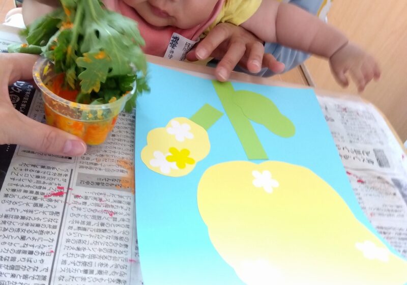 食育活動の一環として春菊に絵の具をつけて菜の花を作りました～