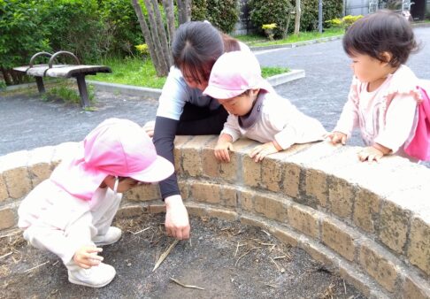 子どもたちの様子を覗いてみました～