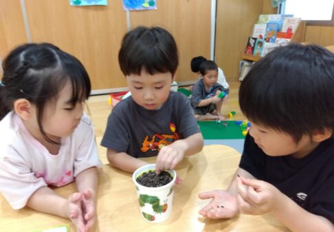 ４歳児★すみれ組