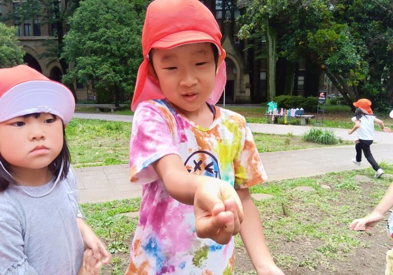 捕まえた！