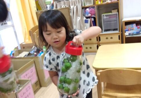 ５歳児　くじら組　「梅ジュース作ったよ！」