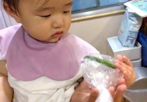 ひよこ組（０歳児クラス）☆食育
